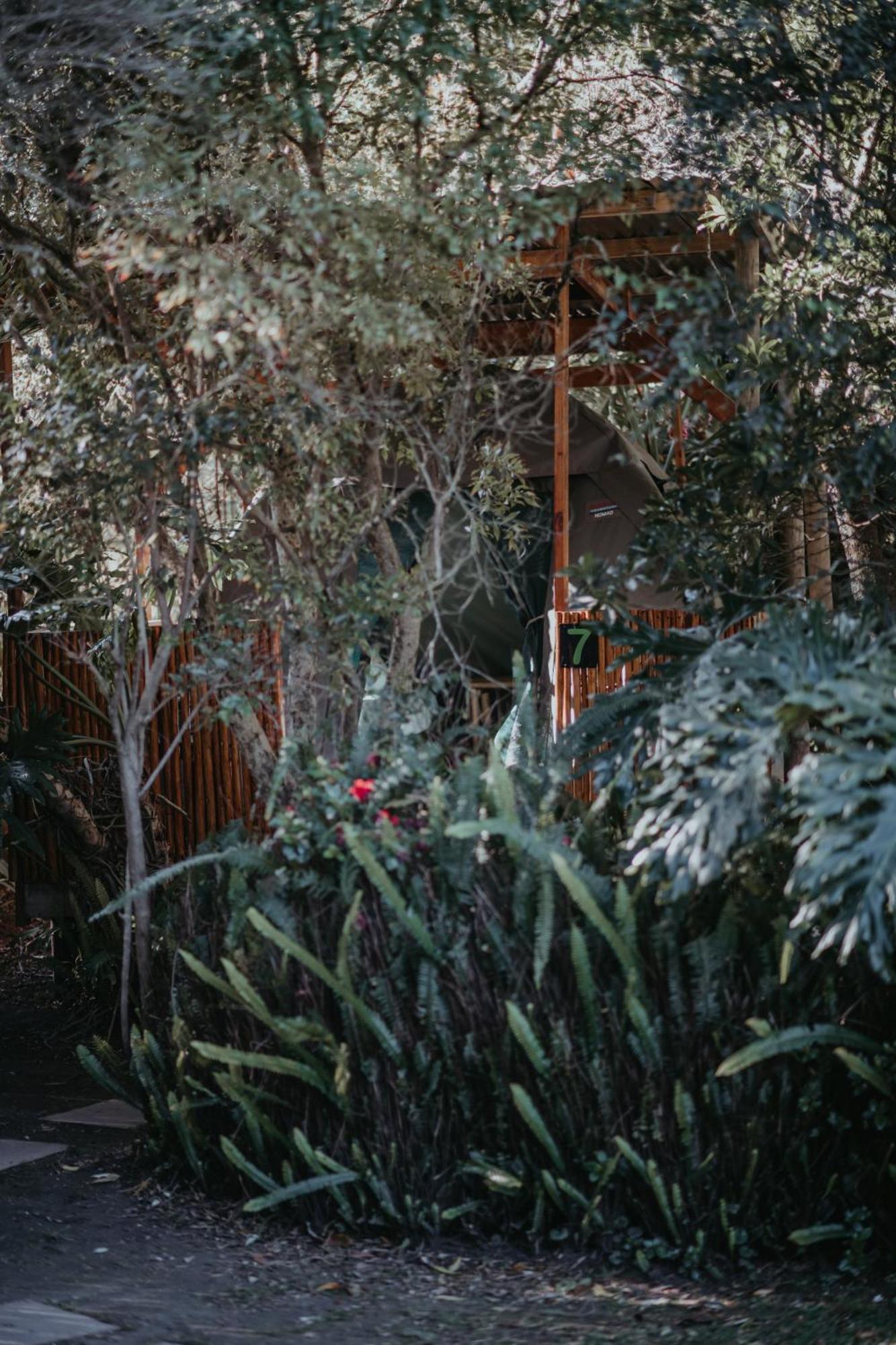 Storms River Forest Lodge Stormsrivier Exterior foto