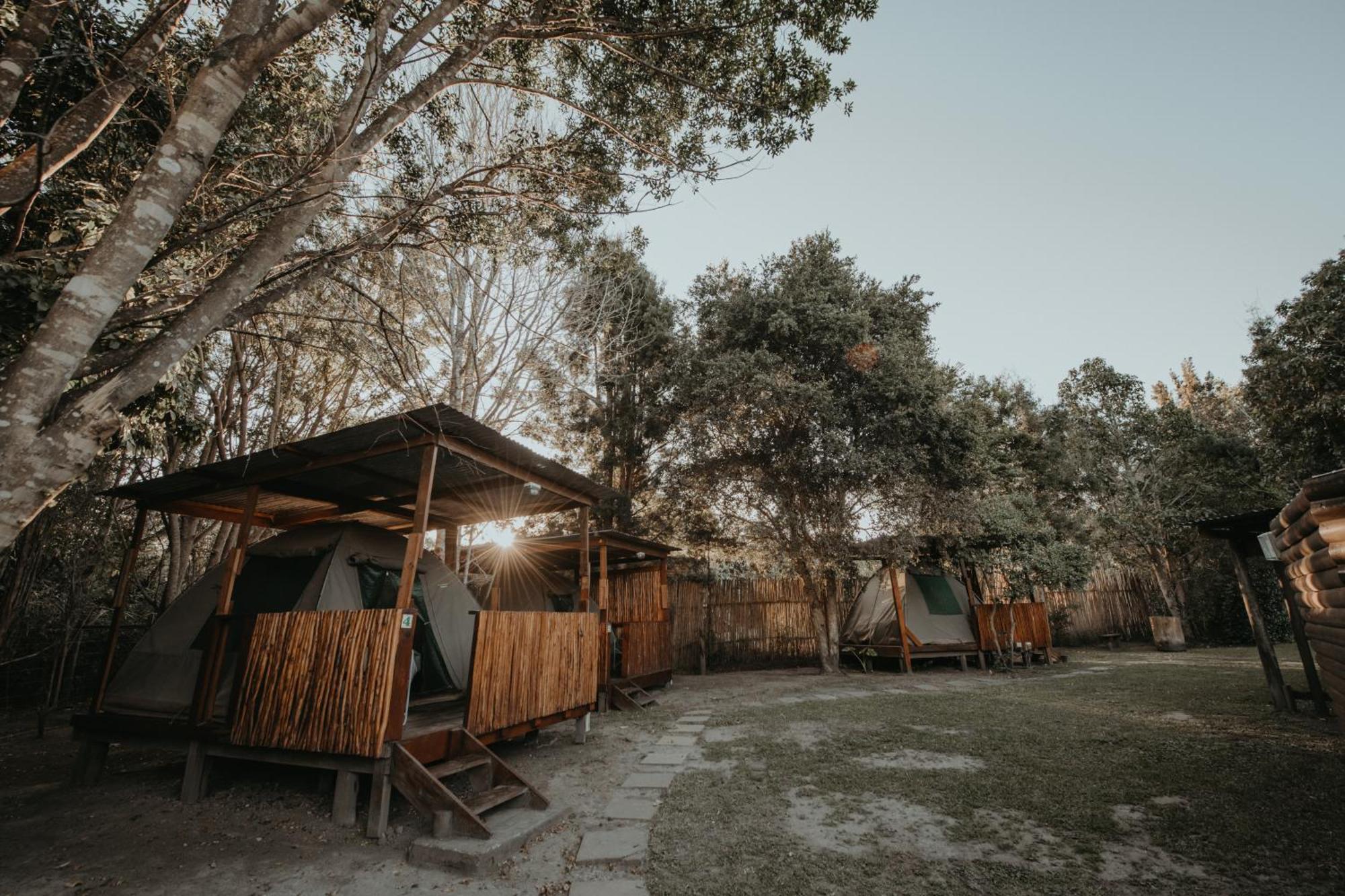 Storms River Forest Lodge Stormsrivier Exterior foto